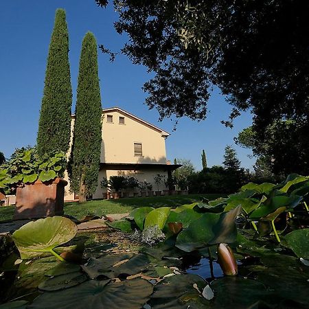 Agriturismo Le Vallette Bibbona Exterior foto